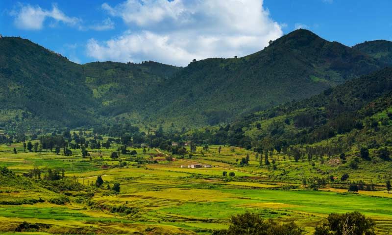 Araku Valley