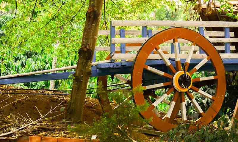 Botanix Nature Resort