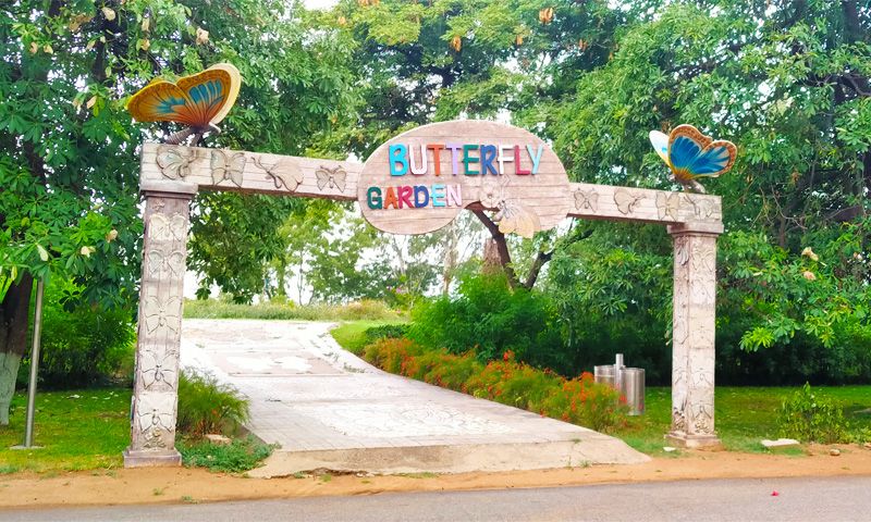 Butterfly Garden