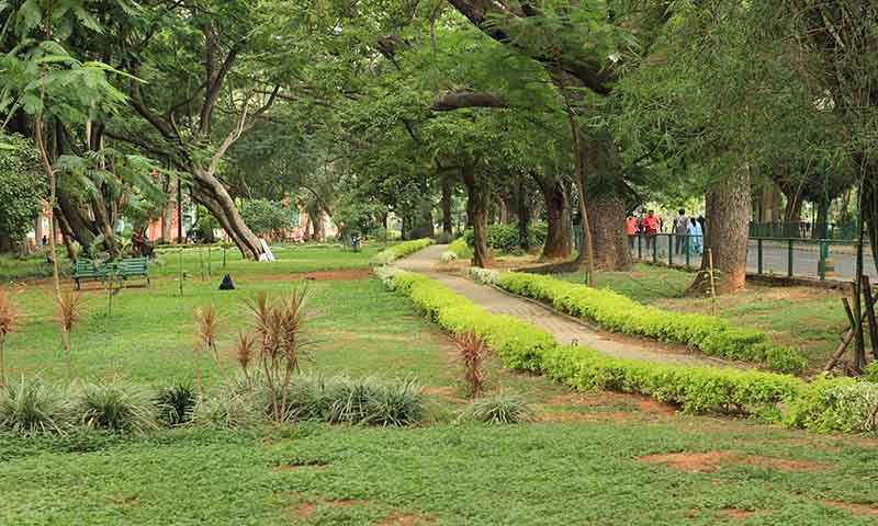 Cubbon Park