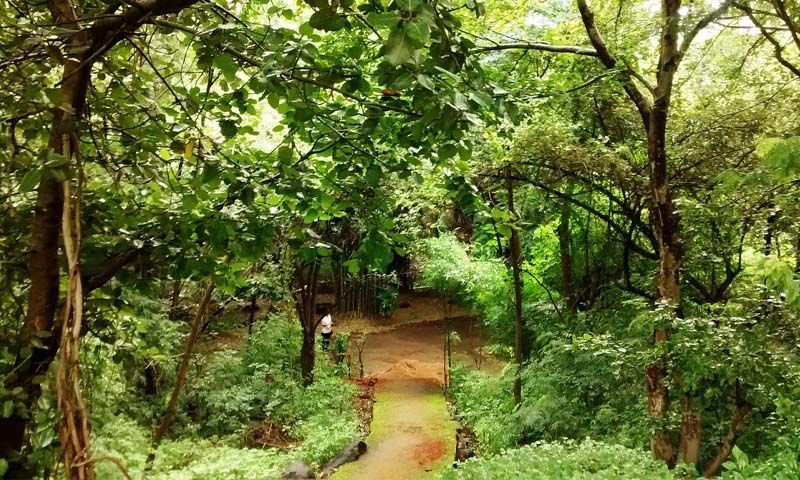 Ekant Park
