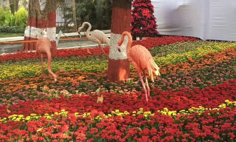 Empress Garden
