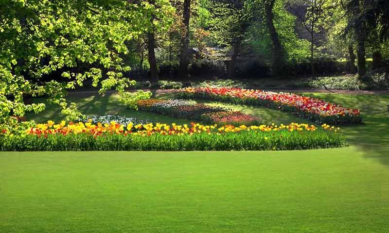 Gandhi Bagh