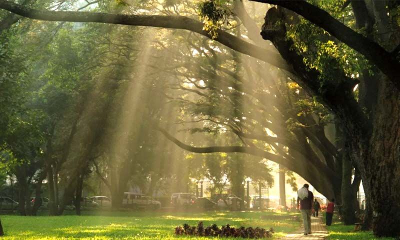Jaya Prakash Narayana Biodiversity Park