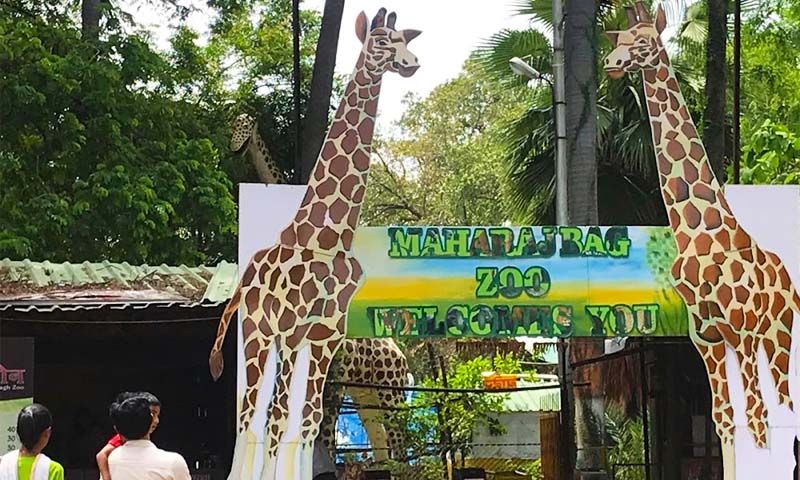 Maharaj Bagh and Zoo