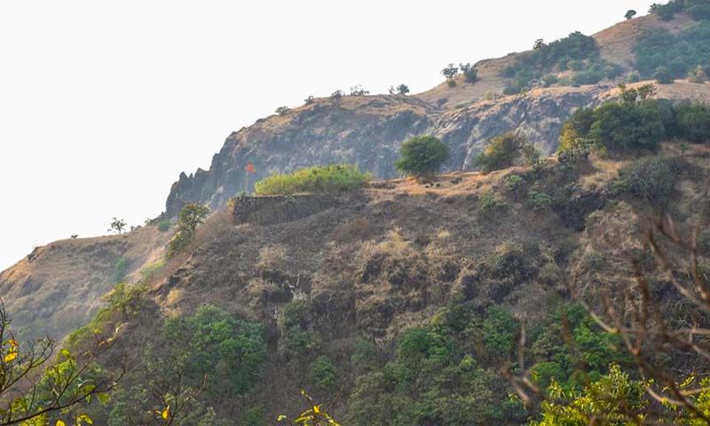 mahipatgad-trek.jpg