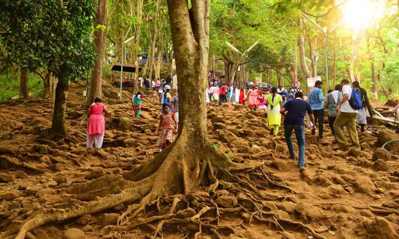 Malayattoor Tourism