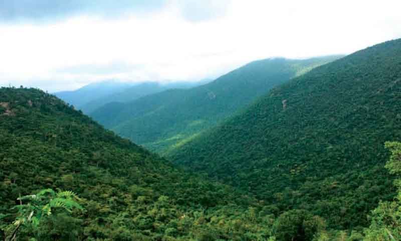 Male Mahadeshwara Hills