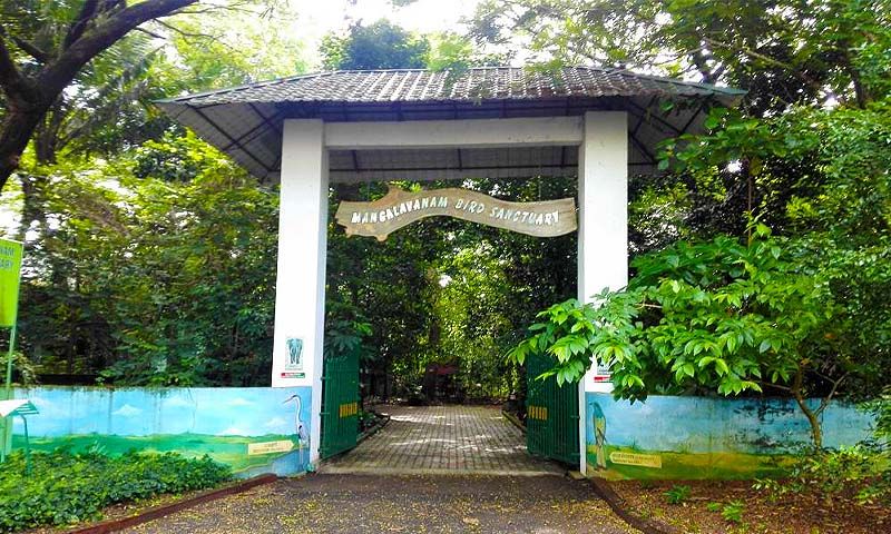 Mangalavanam Bird Sanctuary