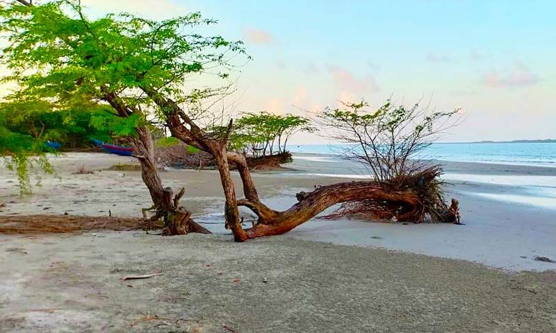 Mousuni Island