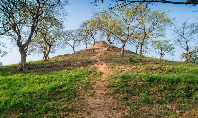 Best Places to visit with Parents in Patna