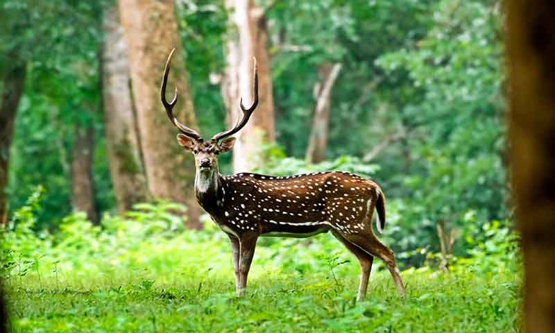 Ralamandal Wildlife Sanctuary