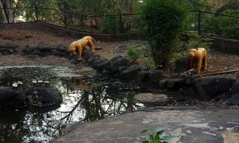 Rock Garden
