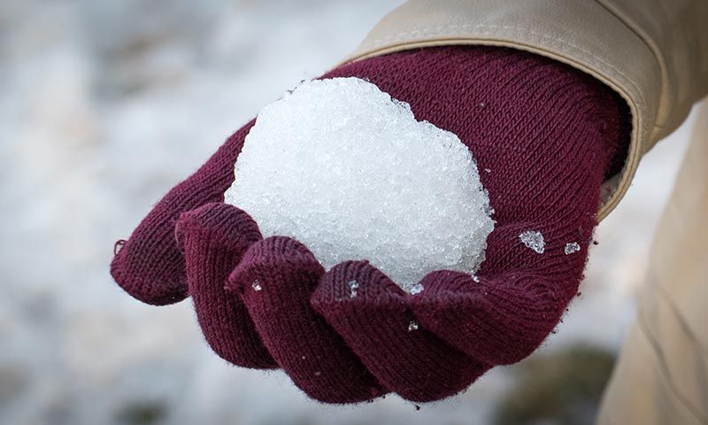 Snow World