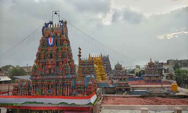 Sri Parthasarathy Temple