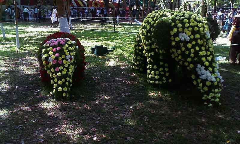TNAU Botanical Gardens